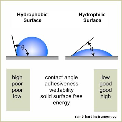 Comparison of hydrophobic and hydrophilic droplet shapes.
