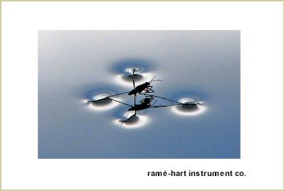 Water strider supported by the surface tension of water.